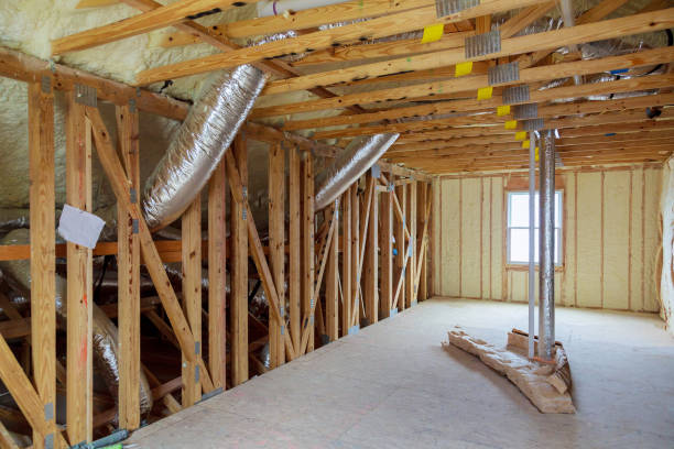 Best Geographic-Specific Insulation Services in St Paul, MN